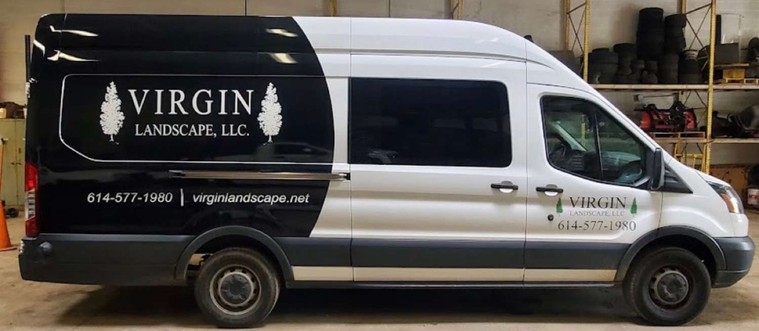 Virgin Landscape van