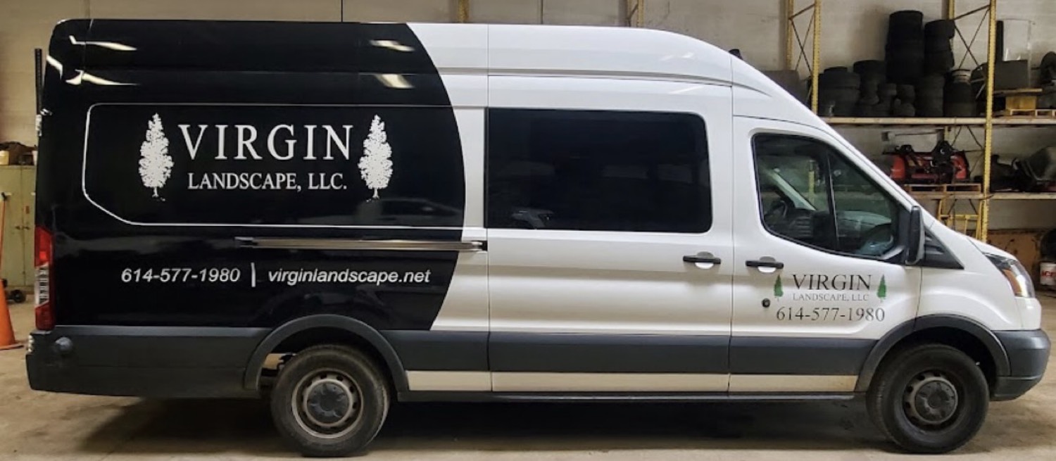 Virgin Landscape van