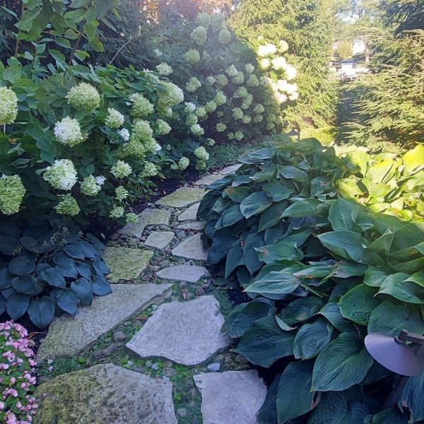 20220909_090650-3fcd4df6